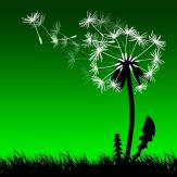 Leaf on the Wind Giveaway