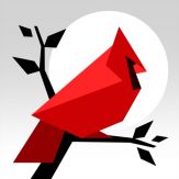 Cardinal Land - Jigsaw & Tangram Puzzle Blend Giveaway