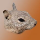 Good Morning-! Giveaway