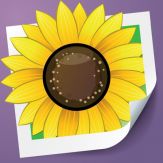 Smart Adjust Giveaway