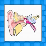 Ear Med Giveaway