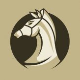 Two Player Chess (2P Chess) Giveaway