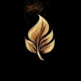 Ash Tag - Cigar Collection Giveaway