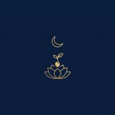 Araya: Buddhist Meditation Giveaway