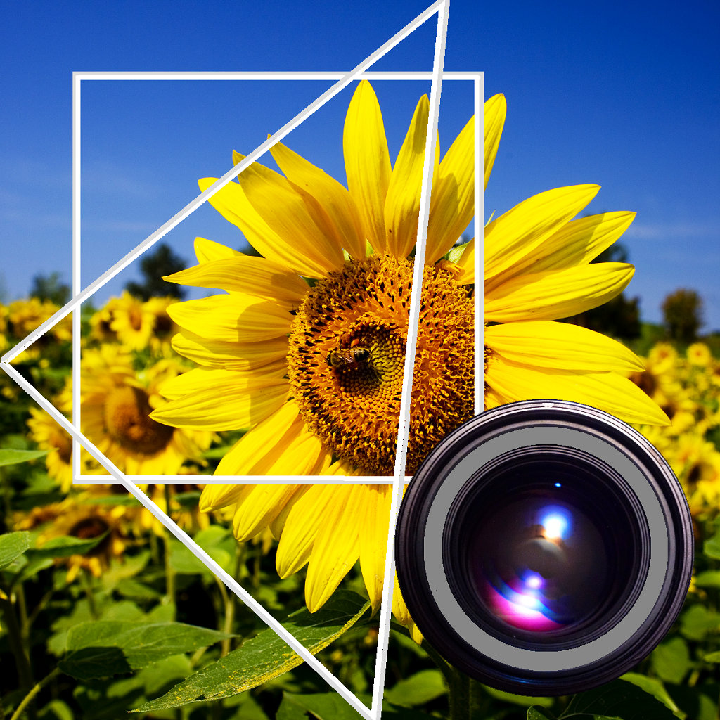 Iphone giveaway of the day adjustgrid