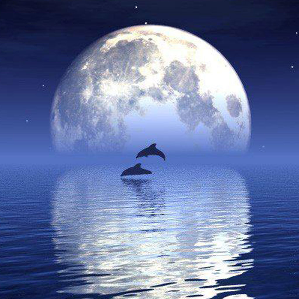 Луна дельфины