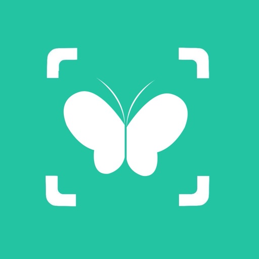 iAnimal: Animal Identifier AI — GLOBAL — Aslikannih
