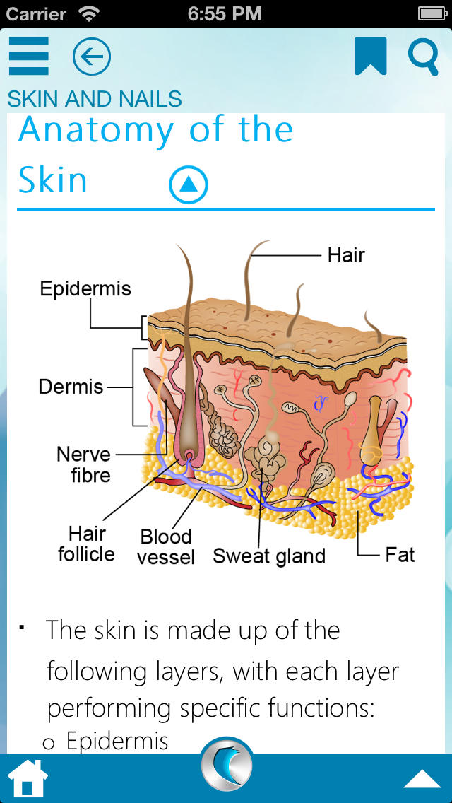 iPhone Giveaway of the Day - Physiology & Body Anatomy by WAGmob